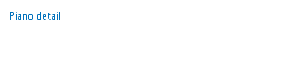 Piano detail